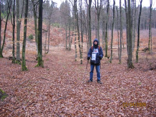 Kliknij aby zobaczy� pe�ny rozmiar