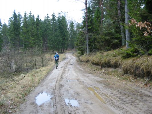 Kliknij aby zobaczy� pe�ny rozmiar