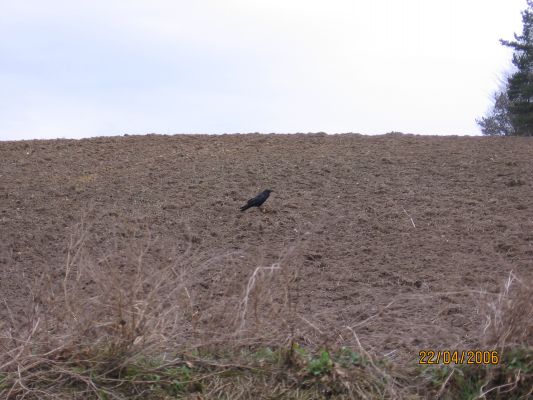 Kliknij aby zobaczy� pe�ny rozmiar