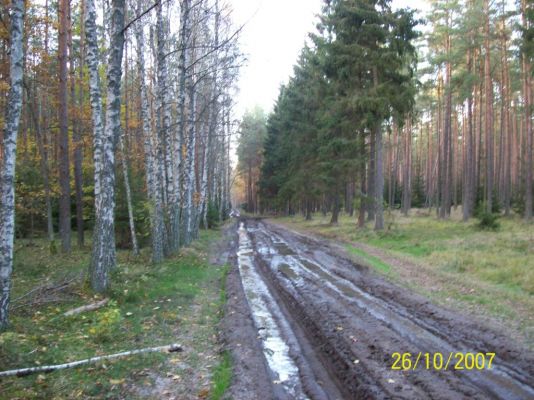 Kliknij aby zobaczy� pe�ny rozmiar