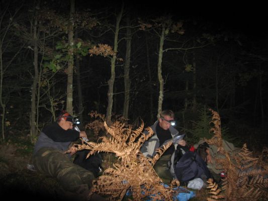 Kliknij aby zobaczy� pe�ny rozmiar