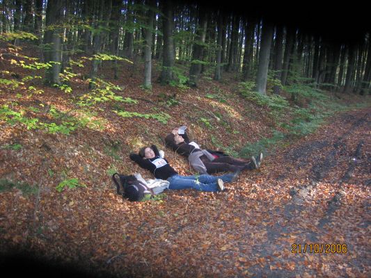 Kliknij aby zobaczy� pe�ny rozmiar