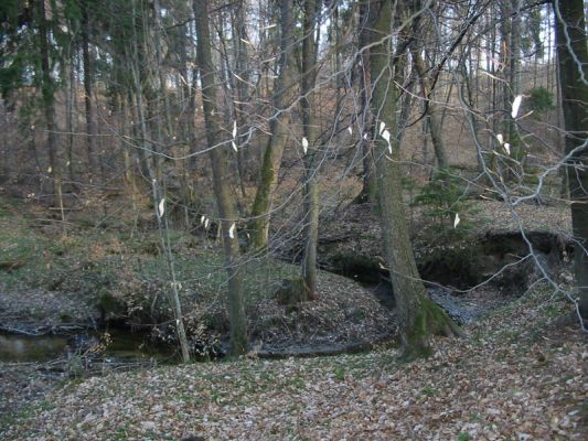Kliknij aby zobaczy� pe�ny rozmiar